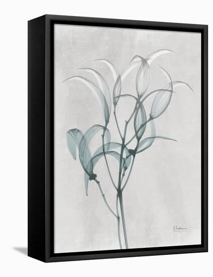 Emerald Oleander Bush-Albert Koetsier-Framed Stretched Canvas