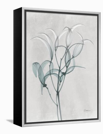 Emerald Oleander Bush-Albert Koetsier-Framed Stretched Canvas