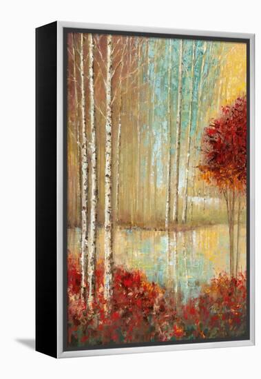 Emerald Pond-Ruane Manning-Framed Stretched Canvas