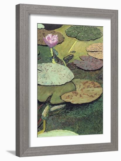 Emerald Pond-Allan Friedlander-Framed Art Print