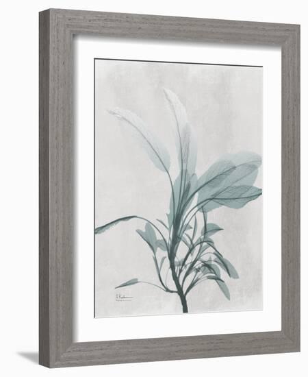 Emerald Sage 1-Albert Koetsier-Framed Photo