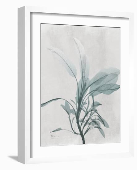 Emerald Sage 1-Albert Koetsier-Framed Photo