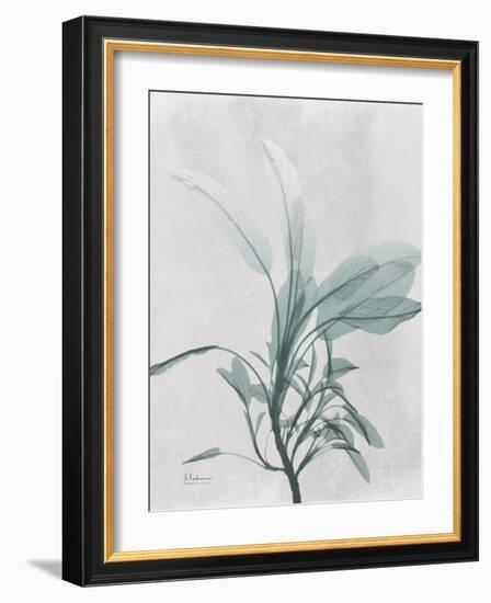 Emerald Sage 1-Albert Koetsier-Framed Photo