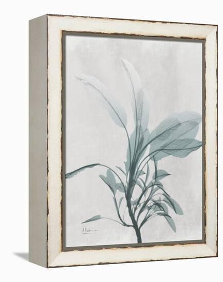 Emerald Sage 1-Albert Koetsier-Framed Stretched Canvas