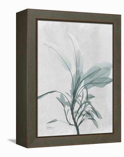 Emerald Sage 1-Albert Koetsier-Framed Stretched Canvas