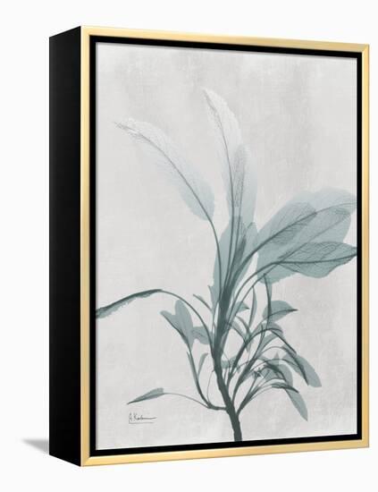 Emerald Sage 1-Albert Koetsier-Framed Stretched Canvas