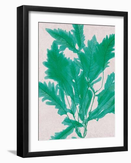 Emerald Sea III-Henry Bradbury-Framed Art Print