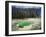 Emerald Spring, Green Colour Caused by Blue Water and Yellow Sulphur, UNESCO World Heritage Site-Robert Francis-Framed Photographic Print