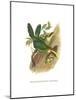 Emerald Toucanet-John Gould-Mounted Art Print