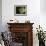 Emerald Tree Boa (Corallus Canina), Ecuador, Amazon, South America-Pete Oxford-Framed Photographic Print displayed on a wall