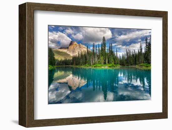 Emerald-Zoran Dujic LightHunter-Framed Photographic Print