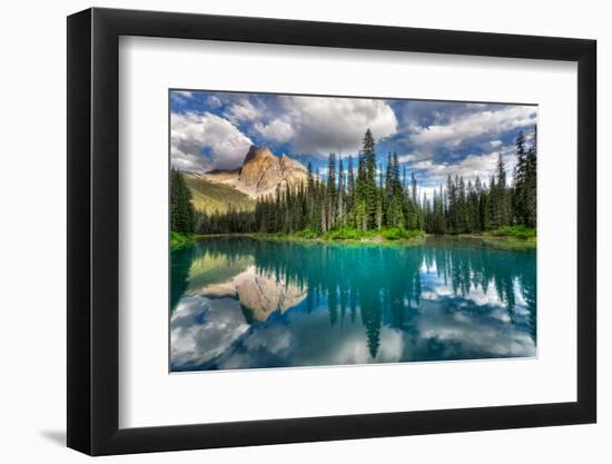 Emerald-Zoran Dujic LightHunter-Framed Photographic Print