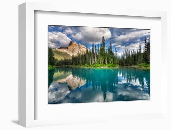 Emerald-Zoran Dujic LightHunter-Framed Photographic Print