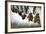 Emergence-Jimmy Hoffman-Framed Photographic Print