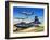 Emergency Landing of the X-15 During a Test Flight-Wilf Hardy-Framed Giclee Print