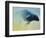 Emerging, 2003-Mark Adlington-Framed Giclee Print