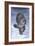 Emerging Beauty-Karie-Ann Cooper-Framed Giclee Print