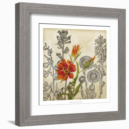 Emerging Lily-Megan Meagher-Framed Art Print