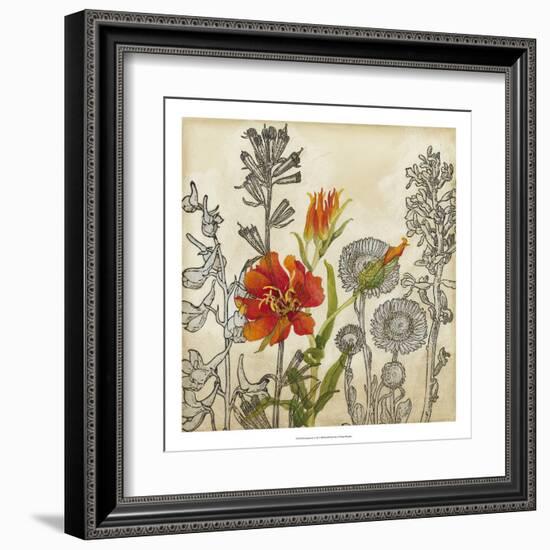 Emerging Lily-Megan Meagher-Framed Art Print