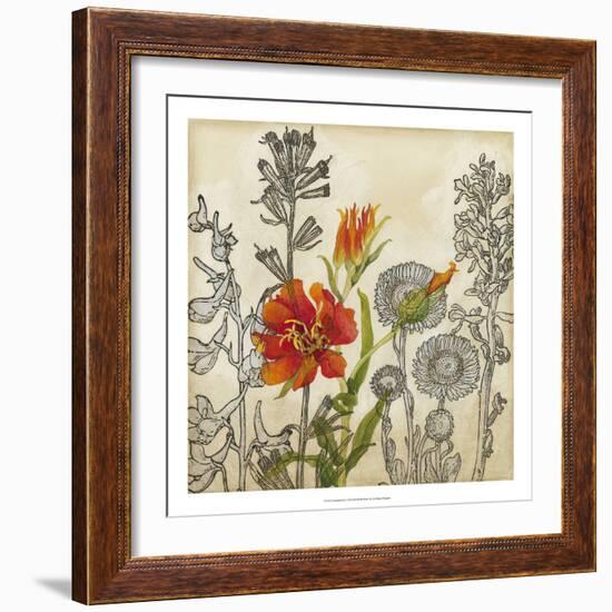 Emerging Lily-Megan Meagher-Framed Art Print