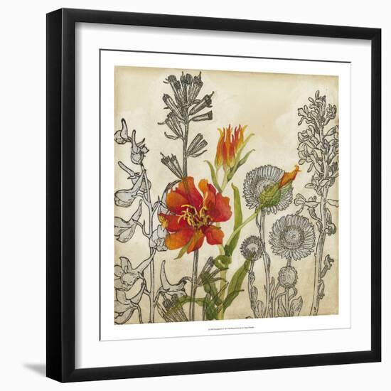 Emerging Lily-Megan Meagher-Framed Art Print