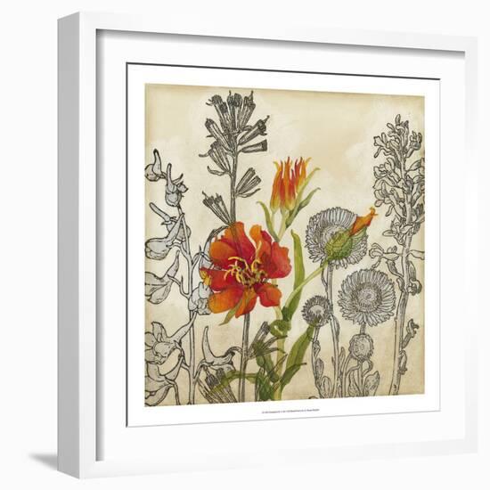 Emerging Lily-Megan Meagher-Framed Art Print