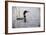 Emerging Loon-Wilhelm Goebel-Framed Giclee Print