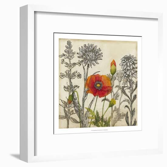 Emerging Poppy-Megan Meagher-Framed Art Print