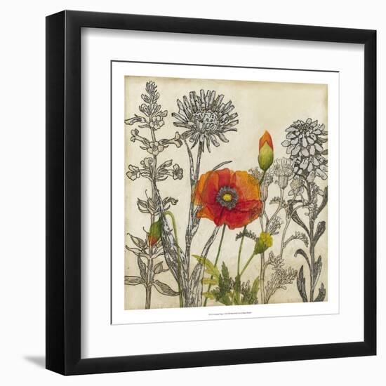 Emerging Poppy-Megan Meagher-Framed Art Print