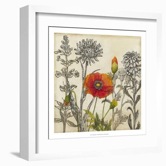 Emerging Poppy-Megan Meagher-Framed Art Print