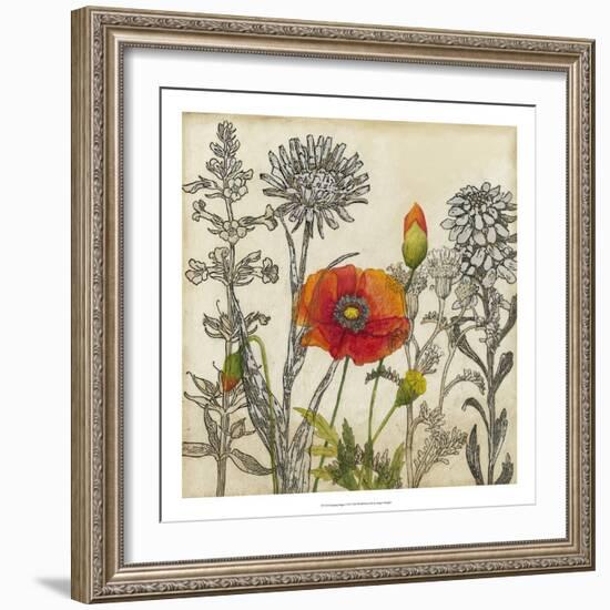 Emerging Poppy-Megan Meagher-Framed Art Print