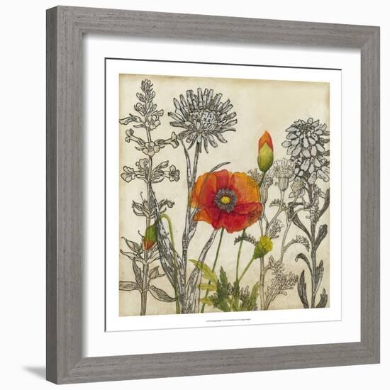 Emerging Poppy-Megan Meagher-Framed Art Print