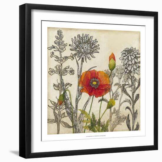 Emerging Poppy-Megan Meagher-Framed Art Print