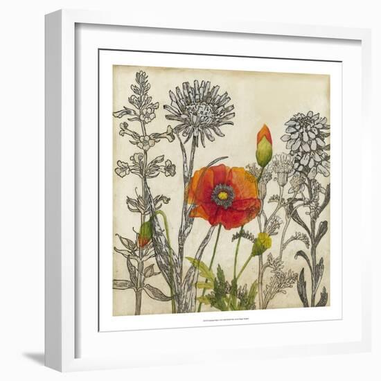 Emerging Poppy-Megan Meagher-Framed Art Print