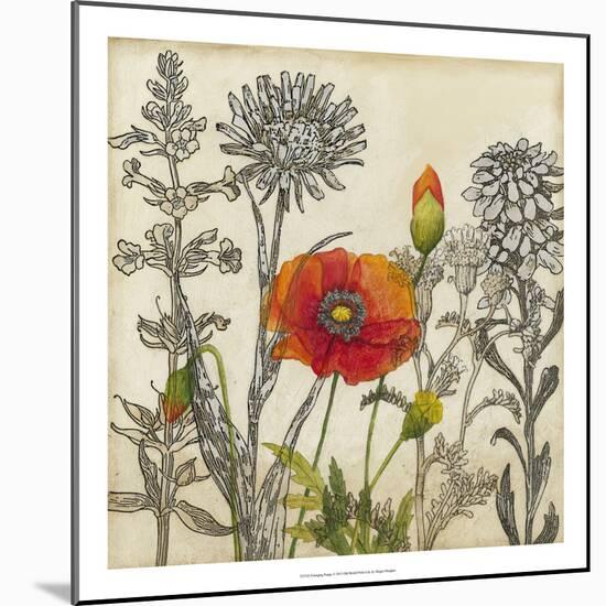 Emerging Poppy-Megan Meagher-Mounted Art Print