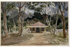 Caminho Velho, Rio De Janeiro, 1830-Emeric Essex Vidal-Premier Image Canvas