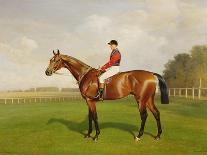 The Racehorse, 'Northeast' with Jockey Up-Emil Adam-Giclee Print