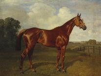 The Racehorse, 'Northeast' with Jockey Up-Emil Adam-Framed Giclee Print