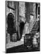 Photographic Print