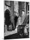 Photographic Print