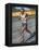 Emil Zatopek of Czechoslovakia, Olympic Gold Medalist in the 10,000m Race at the 1948 London…-null-Framed Premier Image Canvas