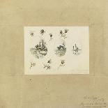 Modèle de décor pour un vase-cornet Louis XV : trois paysages lacustres inscrits dans des-Emile Gallé-Giclee Print
