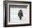 Emile Hirsch-null-Framed Photo