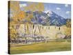 Stretched Canvas Print