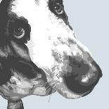 Bull Terrier-Emily Burrowes-Framed Art Print