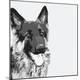 Giclee Print