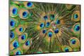Premium Photographic Print