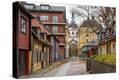 Stretched Canvas Print