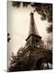 Photographic Print