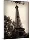 Premium Photographic Print